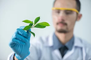 Scientist Using organic ingredients 